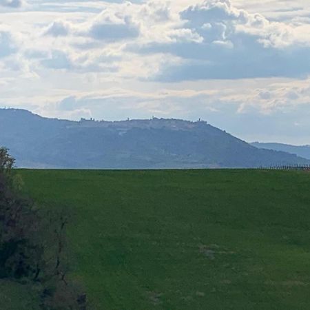 Cordella In Valdorcia Truffle And Olive Oil Resort Montalcino Exterior foto