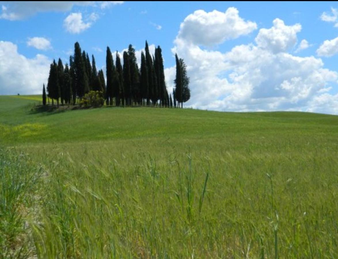 Cordella In Valdorcia Truffle And Olive Oil Resort Montalcino Exterior foto
