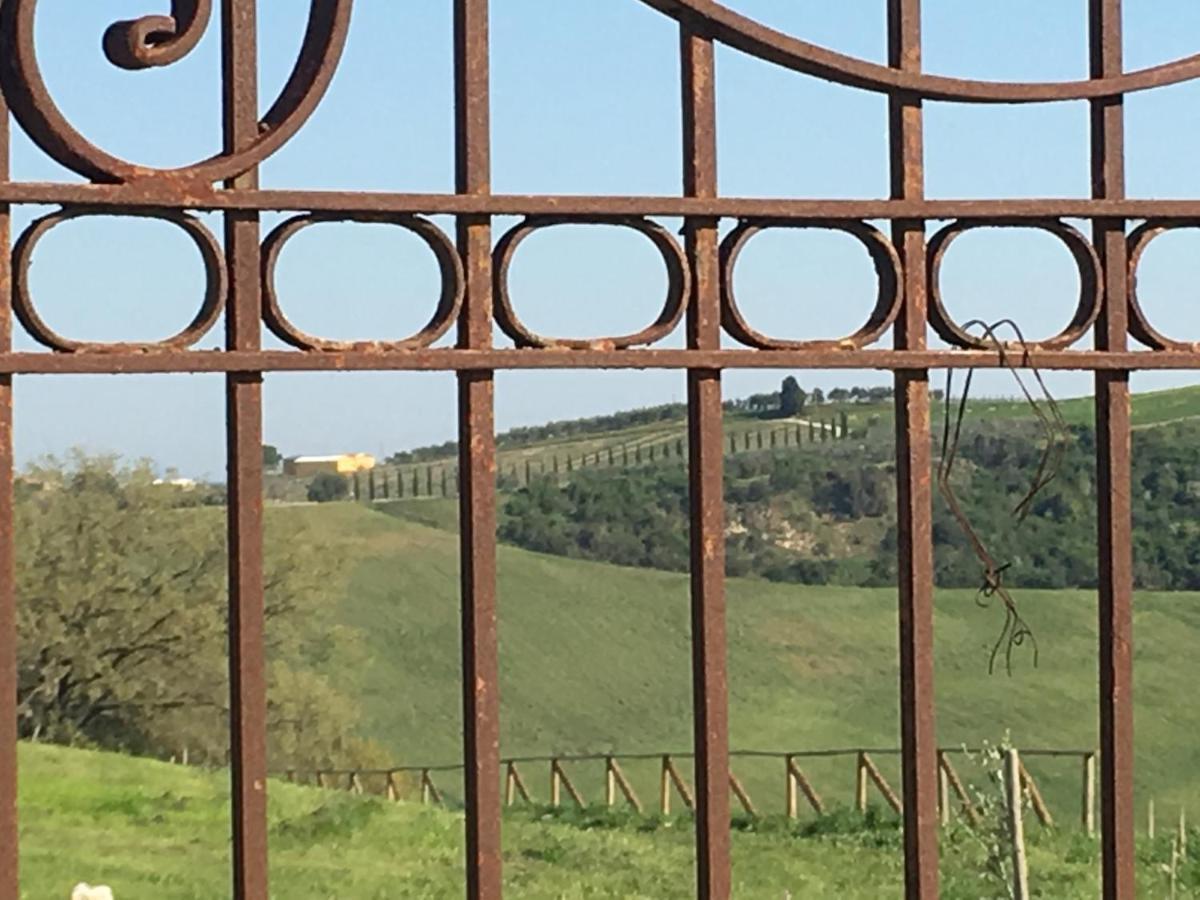 Cordella In Valdorcia Truffle And Olive Oil Resort Montalcino Exterior foto
