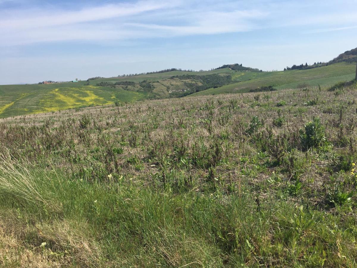 Cordella In Valdorcia Truffle And Olive Oil Resort Montalcino Exterior foto