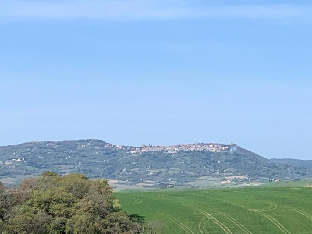 Cordella In Valdorcia Truffle And Olive Oil Resort Montalcino Exterior foto