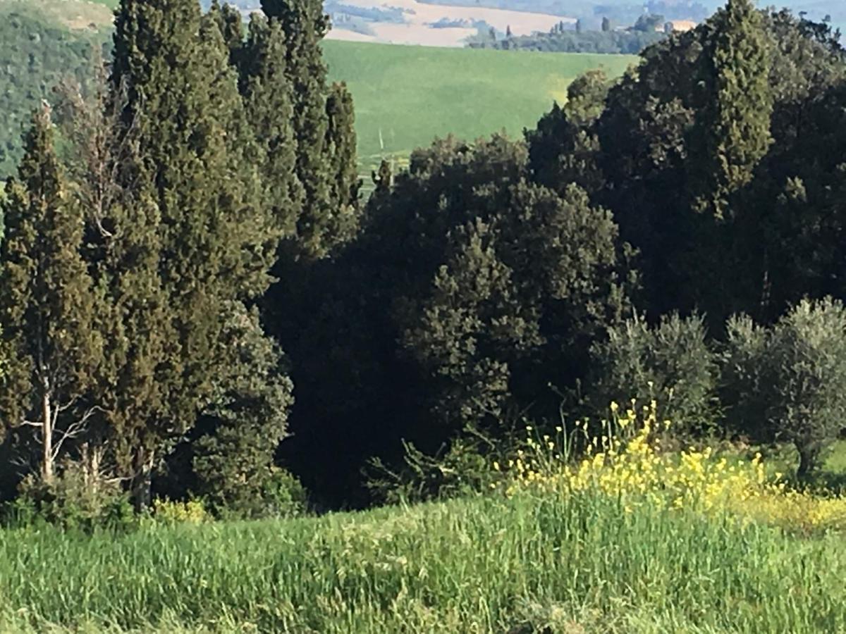 Cordella In Valdorcia Truffle And Olive Oil Resort Montalcino Exterior foto